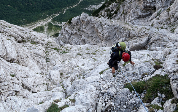 slovenska kofler sport