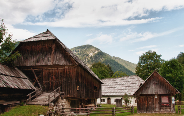 The Pocar Homestead