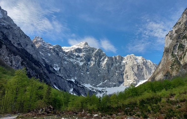 vrata franci teraž